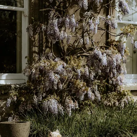 Ballyvolane House Kır Evi