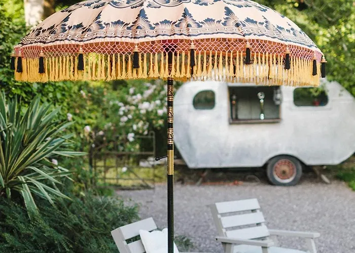 Ballyvolane House Landhuis *