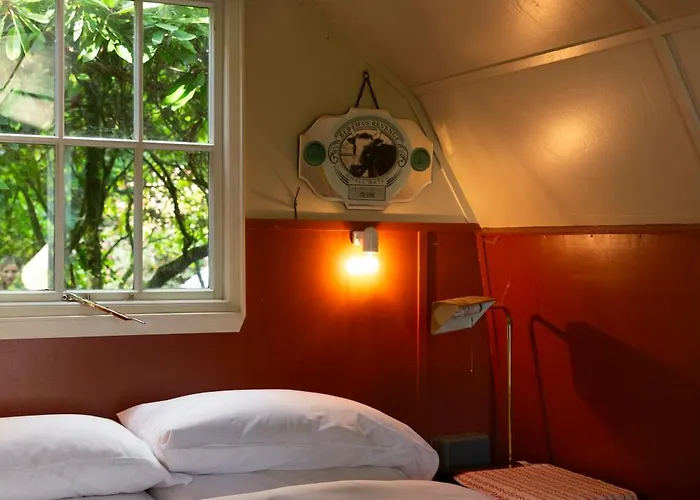 Landhuis Ballyvolane House Fermoy