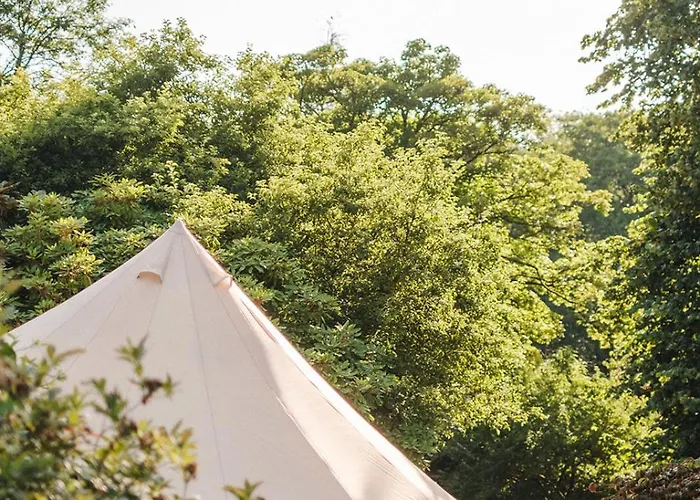 Ballyvolane House 弗莫伊