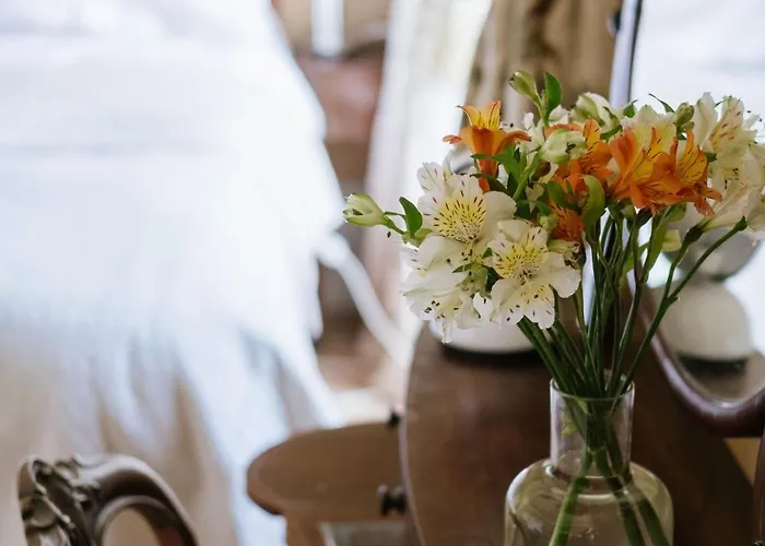 Ballyvolane House * 弗莫伊