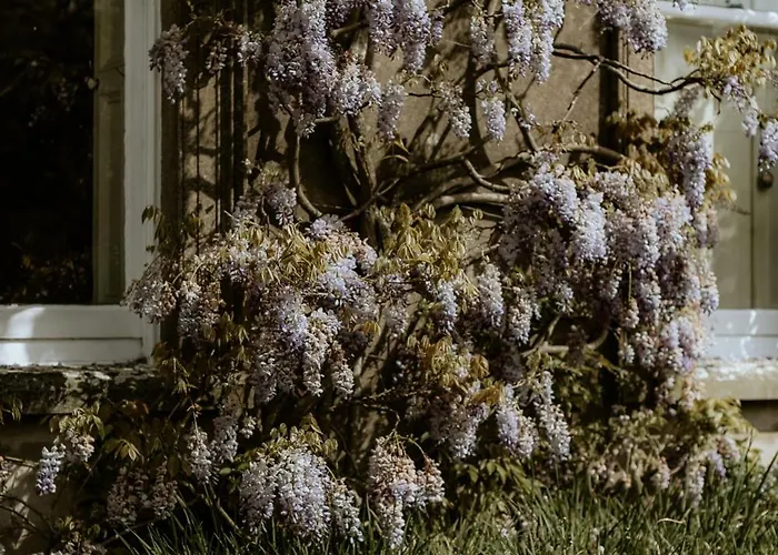 Ballyvolane House Landhuis