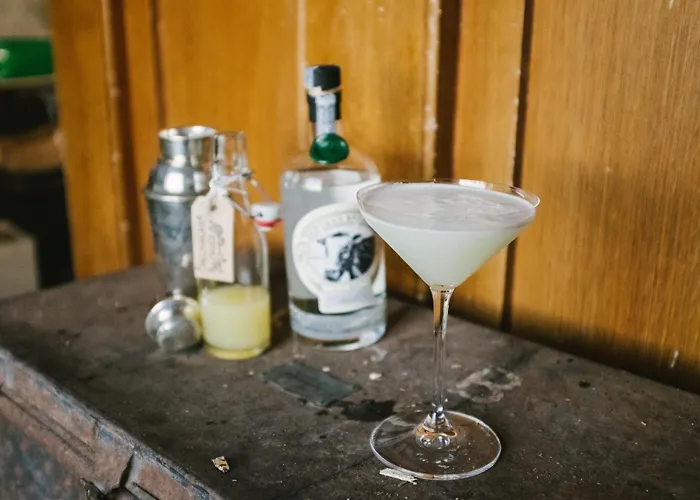 Ballyvolane House Landhuis *